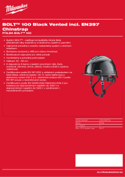 MILWAUKEE BOLT™ 100 4932498728 A4 PDF