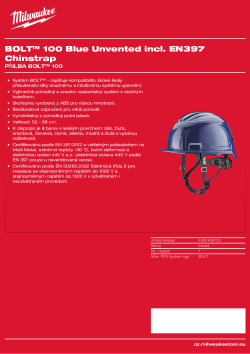MILWAUKEE BOLT™ 100 4932498733 A4 PDF