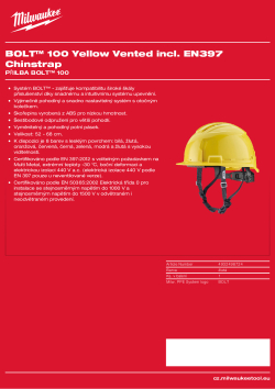 MILWAUKEE BOLT™ 100 4932498724 A4 PDF