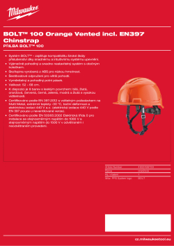 MILWAUKEE BOLT™ 100 4932498729 A4 PDF