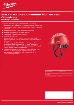 MILWAUKEE BOLT™ 100 4932498735 A4 PDF