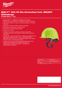 MILWAUKEE BOLT™ 100 4932498738 A4 PDF