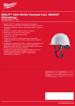 MILWAUKEE BOLT™ 100 4932498723 A4 PDF