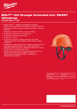 MILWAUKEE BOLT™ 100 4932498737 A4 PDF