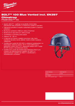 MILWAUKEE BOLT™ 100 4932498725 A4 PDF