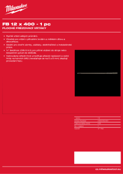 MILWAUKEE Flat Boring Drills 4932352491 A4 PDF