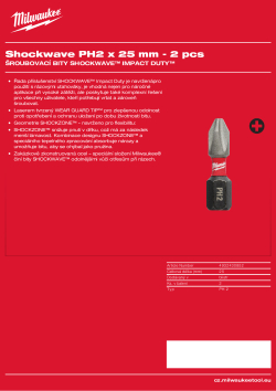 MILWAUKEE PH2 x 25 mm - 2 ks 4932430852 A4 PDF