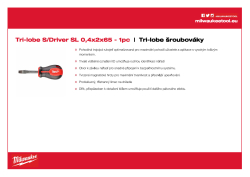 MILWAUKEE SL 0.4 x 2 x 65 4932471773 A4 PDF