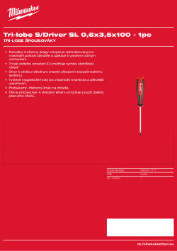 MILWAUKEE SL 0.6 x 3.5 x 100 4932471777 A4 PDF