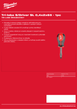 MILWAUKEE SL 0.4 x 2 x 65 4932471773 A4 PDF