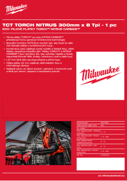 MILWAUKEE Pilový plátek TORCH™ NITRUS 300x 8T- 1 ks 48475263 A4 PDF