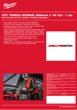 MILWAUKEE Pilový plátek TORCH™ NITRUS 300x 10T - 1 ks 48476253 A4 PDF