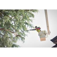 MILWAUKEE M18 FUEL™ teleskopická vyvětvovací pila 30 cm 4933480870